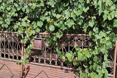 Casă cu 3 camere în Zam - 5