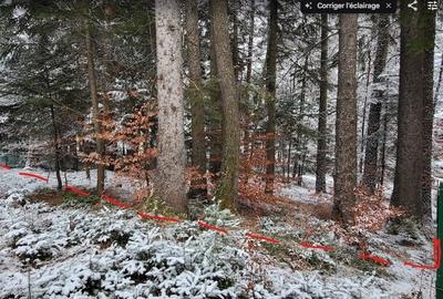 Teren Sinaia/Cumpatu - 8