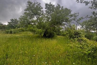 Teren de 30 mp, în Preluca Veche - 4