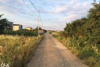 Teren in Ciofliceni, comuna Snagov, pe strada Stefanita Voda. Pret negociabil. - 10