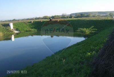 Proprietate industriala de vanzare - 102.420 mp - loc. Zauan jud.Salaj - 21