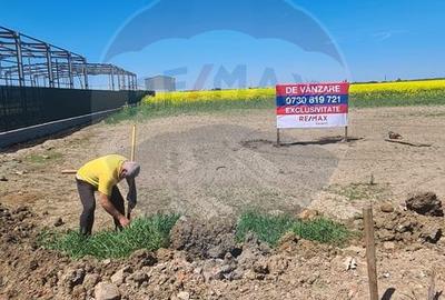 Teren de 5000 mp, în Drumul Taberei - 8