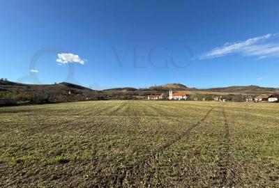 Teren de 7342 mp, în Alma - 4