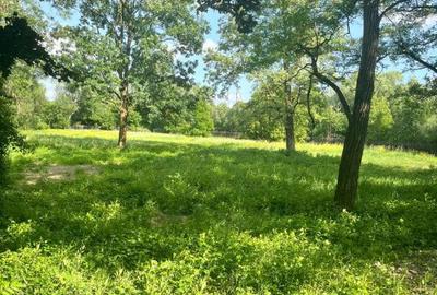 Teren de 10000 mp, în Vicovu de Sus - 6