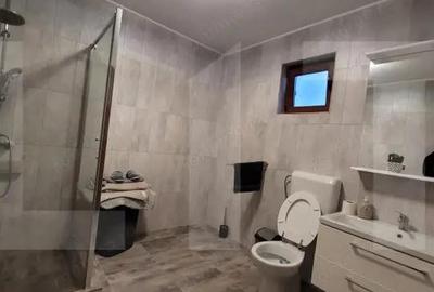 Casă cu Teren 1475 Mp în Cărpiniș - 2