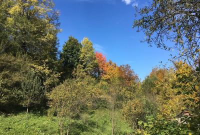 Spațiu comercial, în Podul Vadului - 5