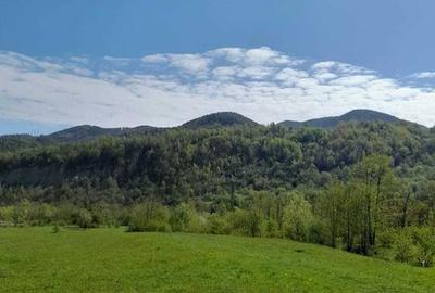 Teren de 1632 mp, în Oituz - 4