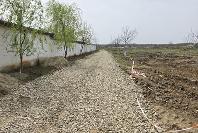 Teren Construcții intravilan de 4783 mp, în Ciolpani - 3