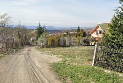 Teren de vanzare in Faget | 860 mp | str. Liviu Rusu - parcela optima de casa - 4