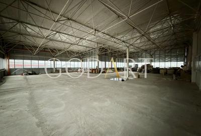 Spațiu industrial, de 4,000 mp, în Central - 17