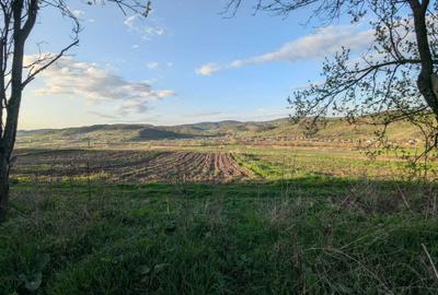 Spațiu comercial, în Șoimeni - 6