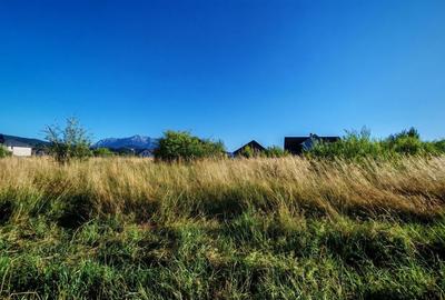 Teren intravilan 1000 mp pt construcții case Cristian str Nisipului - 3