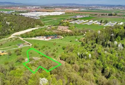 Teren Intravilan parcele 1000mp - 5