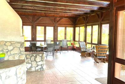 Casa  P+M, cu teren de 9721 mp - 7