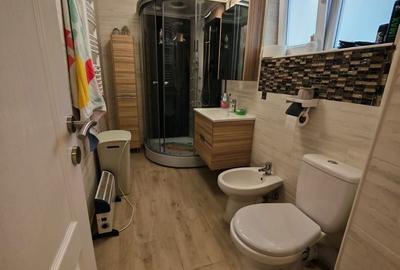 Casa 6 camere 165mp + 160m curte liber Piata Sudului, Obregia, Berceni - 18