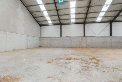 Hala industriala de 411mp Jebel, Timi? - 6