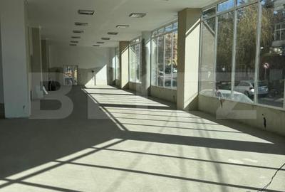 Spațiu comercial, de 300 mp, în Valea Rosie - 5