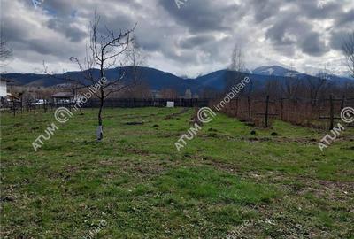 Teren intravilan 2060 mp de vanzare in Avrig zona Valea Avrigului - 7