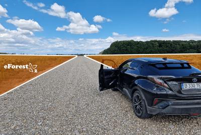 Loturi de casă 720 - 900 mp, langă Pădure în eForest, acces asfaltat - 5