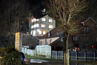 Vila Caciulata inchiriere Craciun 2025 - 19