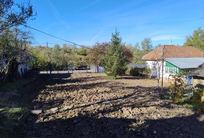 Sat Luptatori, comuna Frasinet, jud.Calarasi - 5