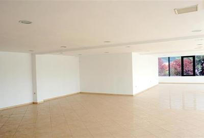 Spațiu comercial, de 140 mp, în Cartierul Traian - 6