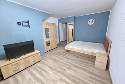 Calea Calarasilor/Piata Muncii/Centrala Proprie/Garsoniera in Vila/ - 2