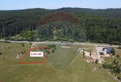 Teren 5,561mp Paltinoasa / Strada principala - 3