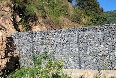 Proiect turistic HotelPensiune, 6 dormitoare, Valea Ierii - 5