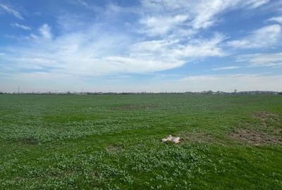 TEREN 7.500 MP DE VANZARE – MĂGURELE, ILFOV - 2