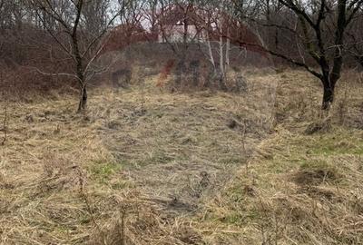 Teren agricol extravilan de 2900 mp, în Independenței - 9