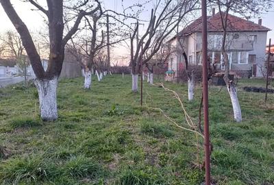 Casă cu 6 camere în Torontalului - 13