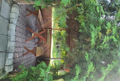 Casă cu 2 camere în Stâncești - 2