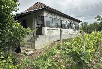 Casă cu Teren 2650 Mp în Nemoiu