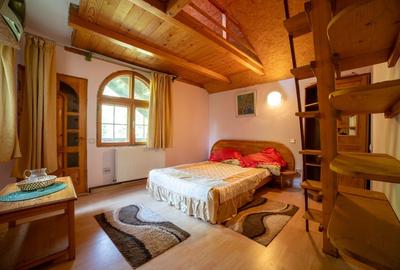 Vanzare vila cu 12 camere pe teren de 700 mp, în inima naturii  Comision 0% - 8