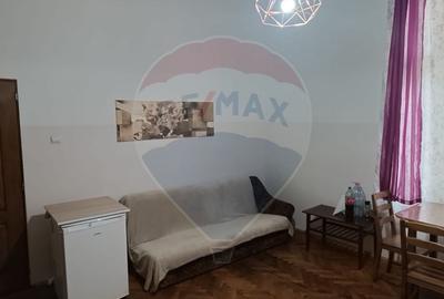 Apartament cu 2 camere nedecomandat, mobilat în Horea - 3