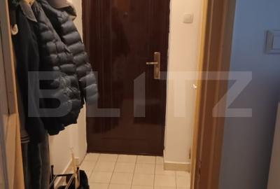 Apartament semidecomandat, cu 2 camere, 29 mp, zona Albac - 6