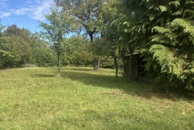 Cabana de vanzare  Firiza - 7