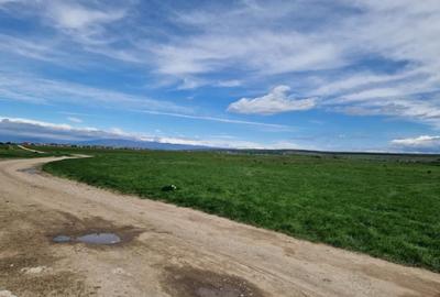 Teren de 25254 mp, în Preajba - 3