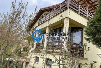 Vila Mineri, D+P+1, teren 1600 mp - 7