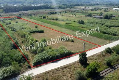 Teren de 8229 mp, în Băiculești - 7