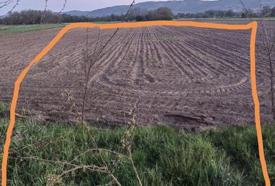 Teren de 5700 mp, în Reea - 5
