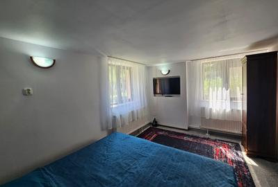 Vila Exclusivista Vetel  pe valea Caoiului - 13