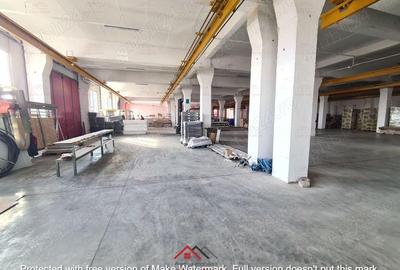 Hale noi in Baicoi, Ph--13.000mp--3e - 11