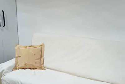 Garsonieră în Central - 3