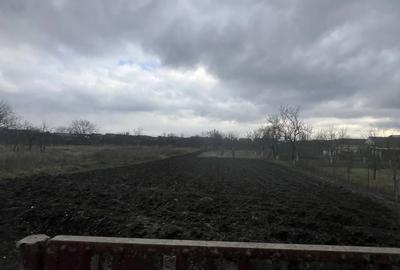 Casa de vanzare cu 1700 mp situata pe strada muncii numarul 34 - 3