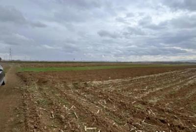 Teren de 2500 mp, în Horodnic - 6