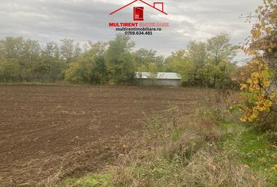 Teren cu case de vanzare in Randunica , Tulcea! - 2
