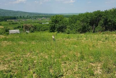 Teren de 6000 mp, în Curături - 1