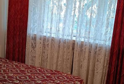 Apartament cu 2 camere decomandat în Gorjului - 8